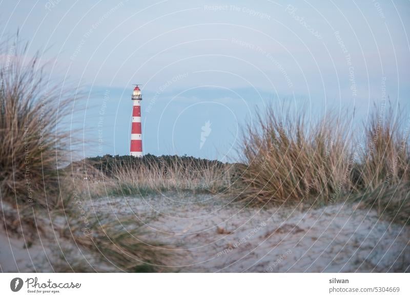 Blick zum Leuchtturm Ameland Sandstrand Düne Gras Standgras Dämmerung Nordsee Küste Menschenleer Ferien Natur Dünengras