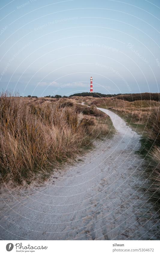 Strandweg zum Leuchtturm Ameland Sandstrand Düne Gras Standgras Dämmerung Nordsee Küste Menschenleer Ferien Natur Dünengras