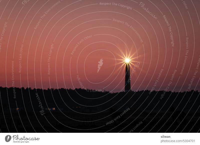 Blick zum Leuchtturm über die Pferdeweide Ameland Sandstrand Düne Gras Standgras Dämmerung Nordsee Küste Menschenleer Ferien Natur Dünengras Stern Abendrot