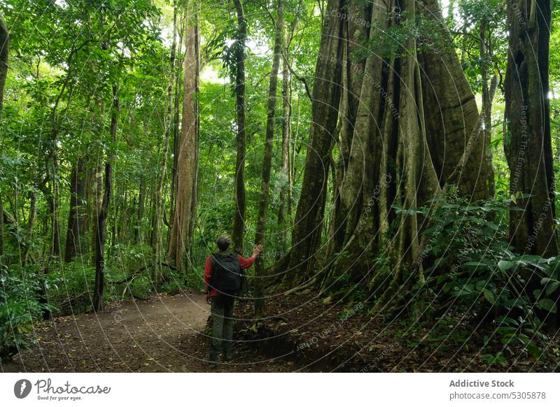 Unbekannter Reisender mit Rucksack im Wald tropisch Wanderung reisen Natur Tourist Urlaub Abenteuer Tourismus Costa Rica Dschungel Regenwald Fernweh exotisch