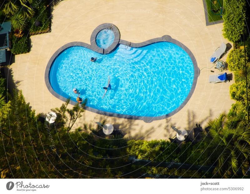 Badespaß im Swimmingpool aus der Vogelperspektive Draufsicht Schwimmen & Baden Erholung Sommer Sommerurlaub Ferien & Urlaub & Reisen Pool Schwimmbecken