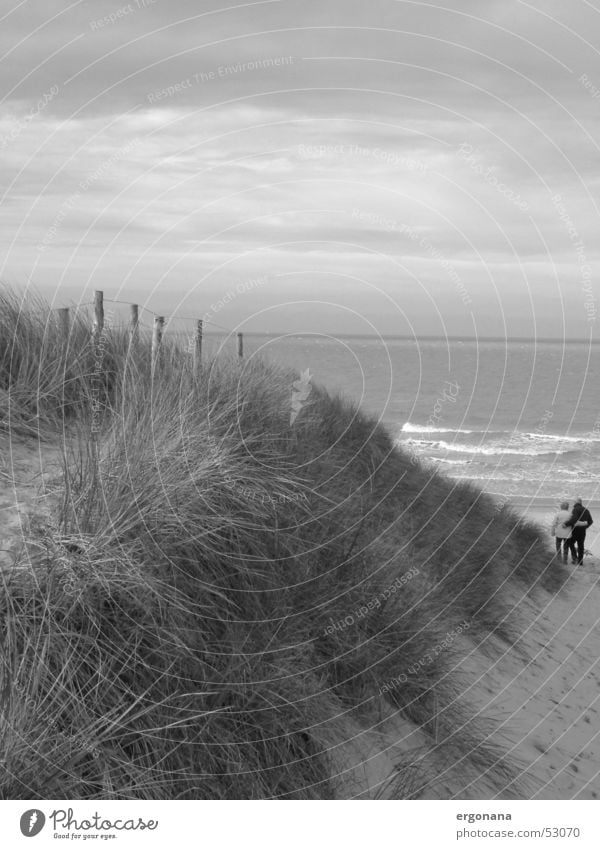 Dünenspaziergang Meer Liebespaar Gras Strand Belgien Stranddüne Paar Himmel Schwarzweißfoto paarweise