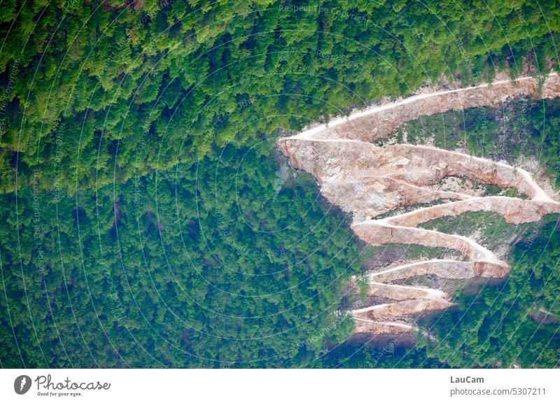 Kopfstand in den Bergen Wald Bäume Weg kopfüber Landschaft Baum grün Waldweg zickzack Zickzackmuster umgedreht Natur Wege & Pfade wandern Erholung