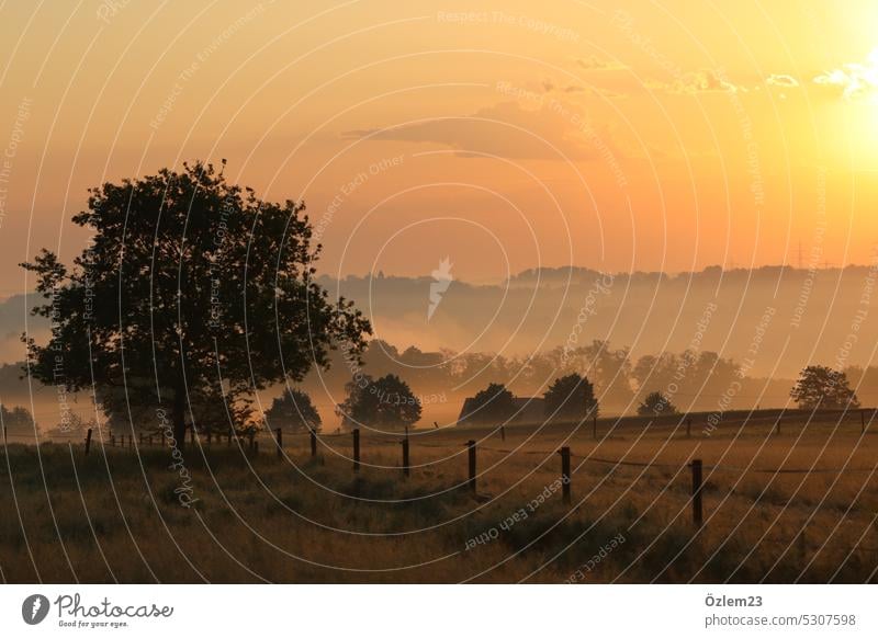 Sonnenaufgang in Essen Sonnenlicht orange Himmel Landschaft Natur Außenaufnahme Licht Romantik Idylle Farbfoto Menschenleer Ruhrgebiet NRW Umwelt Frühling