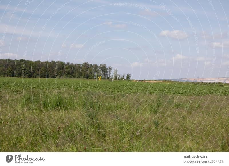 Feld am Waldrand, Hambacher Forst Ferne Natur Wege & Pfade Straße Energieversorgung Himmel Energiegewinnung Ansicht Braunkohlentagebau Hambach Oberfläche