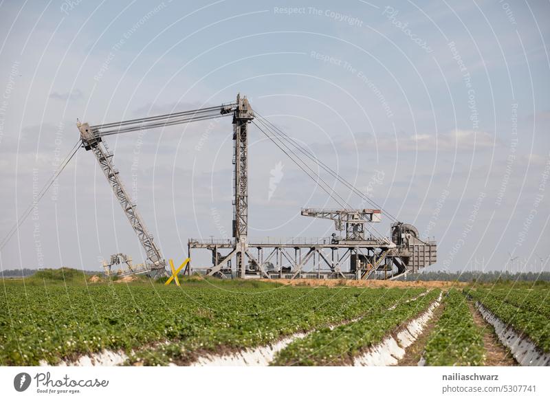 Tagebau Hambach tagebau Landschaft bedrohlich Nordrhein-Westfalen NRW Politik & Staat RWE Braunkohlenbagger Umweltzerstörung Grubenrand Fossile Energie