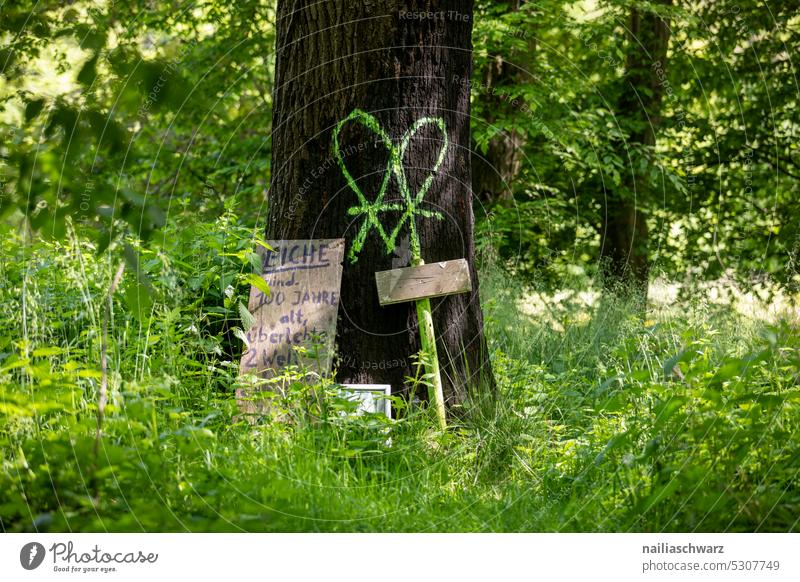 Protest Architektur Zelt Bäume Braunkohlentagebau 1.5 Grad Kohleausstieg Erderwärmung Klimawandel Dörfer Enteignung RWE Politik & Staat CO2-Ausstoß Schild