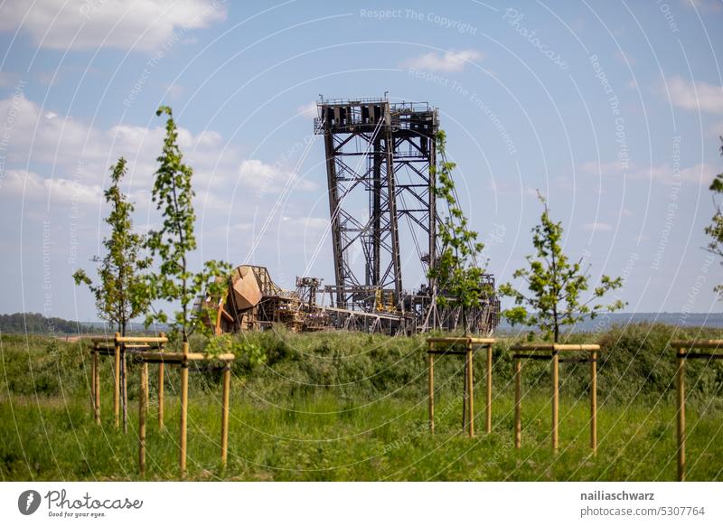 Schaufelradbagger protest Himmel Landwirtschaft Tagebaugrube Oberfläche Braunkohlentagebau Hambach ländlich Dorf Ansicht Hambi Hambacher Forst Fossile Energie