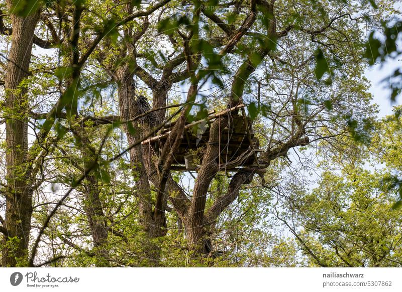 Protest Architektur Sorge Mut Barrikade Müll NRW bedrohlich Außenaufnahme Tagebau Hambach Umweltzerstörung Tagebaugrube Hambacher Forst Farbfoto Hambi