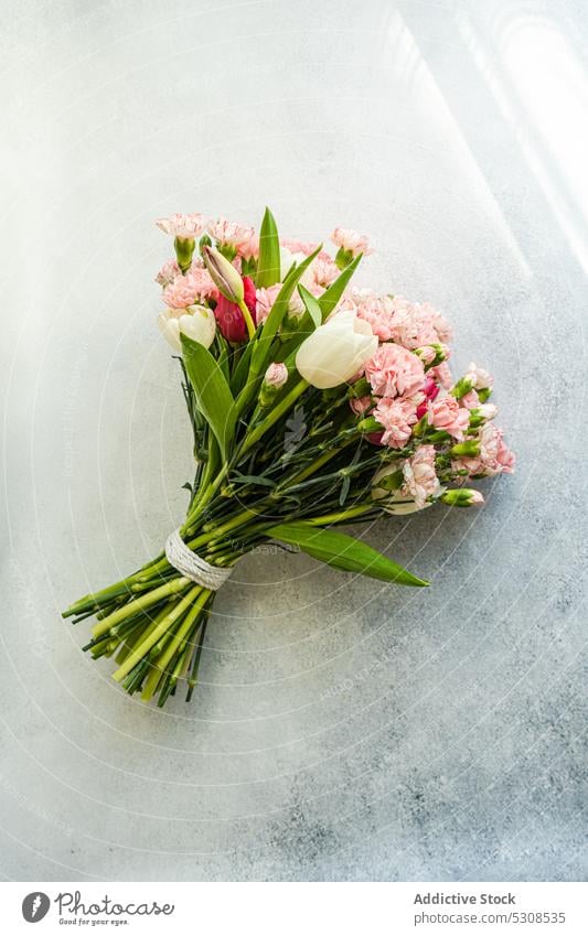 Schöner Nelken- und Tulpenstrauß Blume geblümt Hintergrund schön Schönheit binden Blumenstrauß abschließen Beton Delikatesse festlich Flora Zuneigung Geschenk