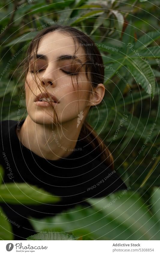 Verträumte Frau mit geschlossenen Augen zwischen grünen Pflanzen Garten Windstille Natur Augen geschlossen friedlich tropisch ruhig Model Make-up Stil jung