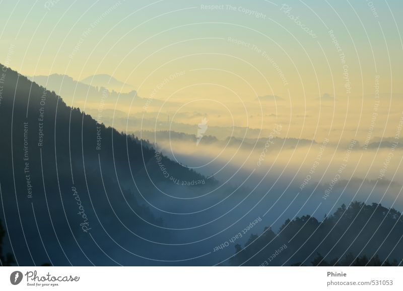 Morgennebel am Brand Natur Landschaft Wassertropfen Wolken Horizont Sonnenaufgang Sonnenuntergang Nebel Wald Hügel Berge u. Gebirge Sächsische Schweiz