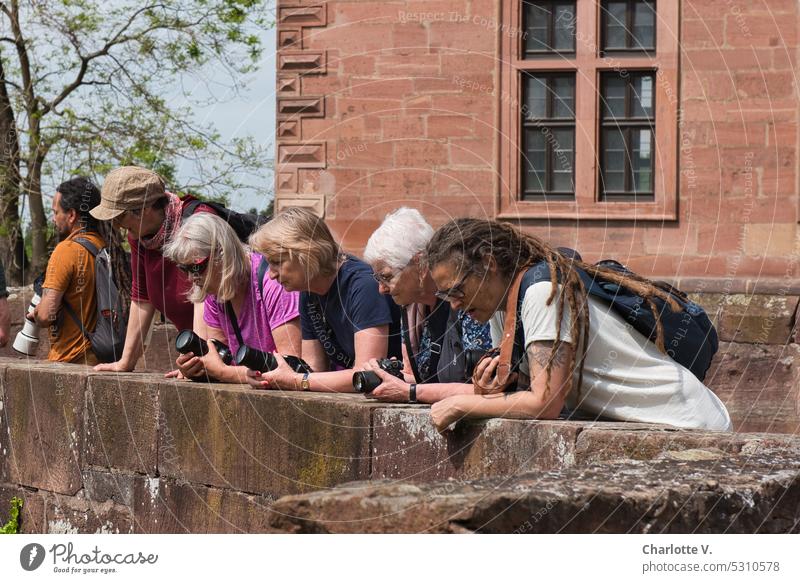 Mainfux | Da unten ist was los Menschen Gruppe Fotografen Fotografinnen Person Zusammensein Freundschaft Fotoapparate kamera schönes Wetter beobachten