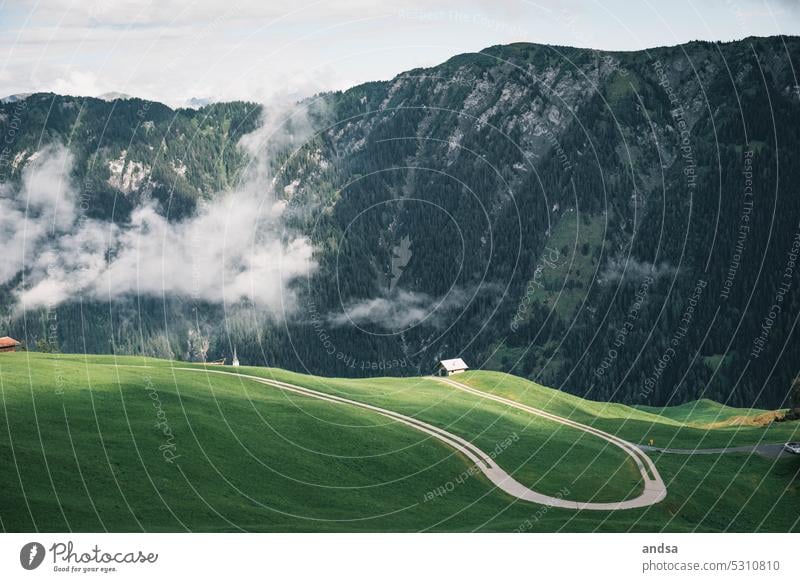 Kurvige Straße in den Bergen Weg Sommer Kurve Alpen Landschaft Idylle ruhig Berge u. Gebirge grün Natur Wolken Ferien & Urlaub & Reisen wandern Außenaufnahme