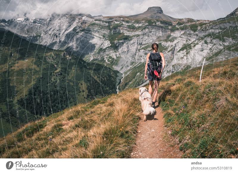 Wanderin mit Hund in den Bergen Wanderung Landschaft wandern Natur Abenteuer Hochgebirge Berge u. Gebirge Außenaufnahme Ferien & Urlaub & Reisen Wanderausflug