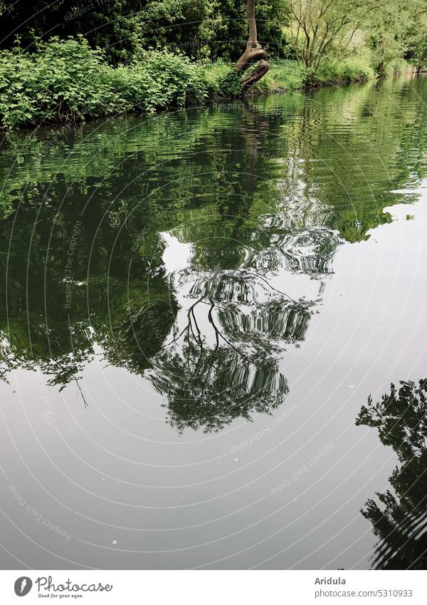 Ruhiger See mit grünem Ufer Wasser Idylle Natur Erholung Baum Gräser Sträucher Spiegelung Wasseroberfläche friedlich Reflexion & Spiegelung Menschenleer Ruhe