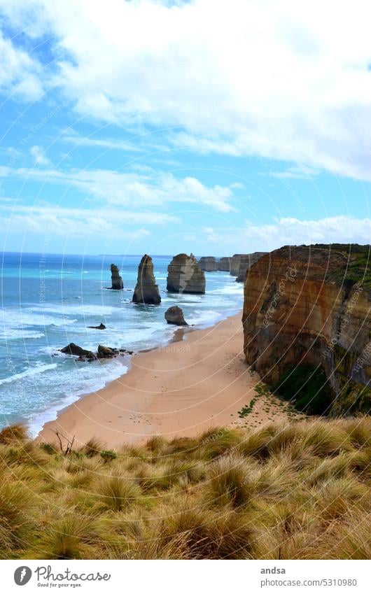 Zwölf Apostel in Australien Meer Küste Wellen Wind Dünengras Fels Klippe Strand Natur Sand Landschaft Ferien & Urlaub & Reisen Außenaufnahme