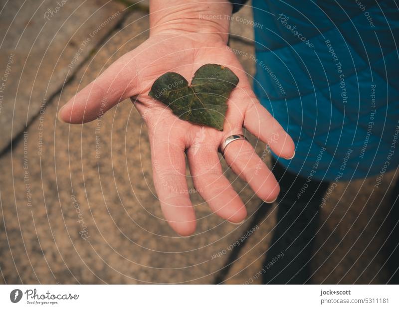 ein gutes Herz gefunden und es berührt Hand Herz (Symbol) Blatt Symbole & Metaphern feminin herzförmig rechts Romantik Liebesgruß klein Glück Liebeserklärung