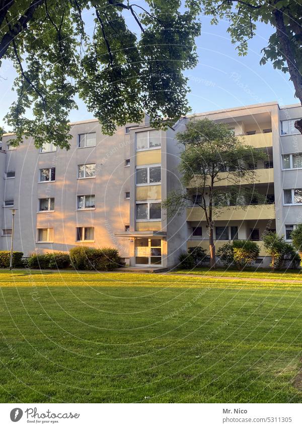 Wohnhaus Wohnsiedlung Plattenbau Wohngebiet Fenster Balkon Fassade Bauwerk Gebäude Architektur Hochhaus Haus Stadtteil Wiese Häusliches Leben Wohnung