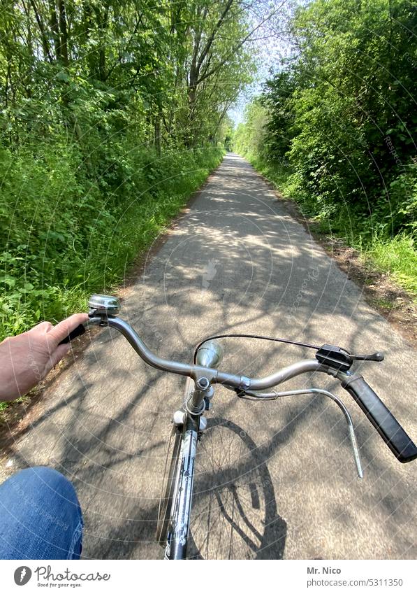 Radtour Wege & Pfade Freizeit & Hobby Verkehrsmittel Umwelt Lenker Asphalt Natur Verkehrswege radeln grün Schatten sportlich umweltbewusstsein Mobilität