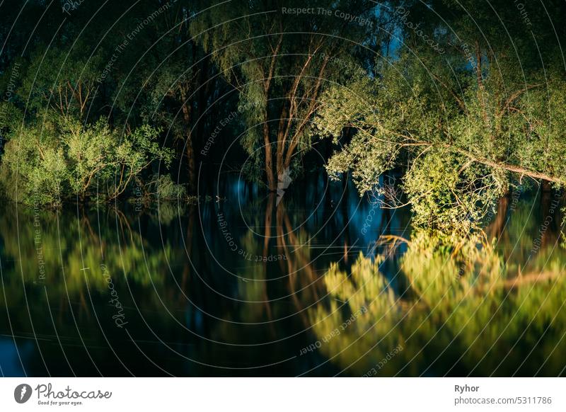 Nachtlandschaft mit Bäumen, die im Wasser stehen, während der Frühjahrsflut Überschwemmungen im Mondlicht. Bäume Wälder in Wasserflut während eines Frühlingshochwassers. Schöne Frühlingslandschaft mit Reflexion in Fluss. Überschwemmung See oder Fluss. Schließen.