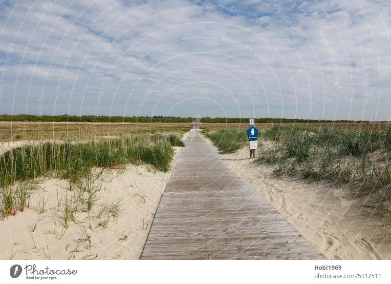 Blick über den Naturpark Salzwiesen auf der Insel Borkum salzig Nordseeinsel Niedersachsen Gras Landschaft Idylle Naturschutzgebiet Landschaftsschutz Gebiet