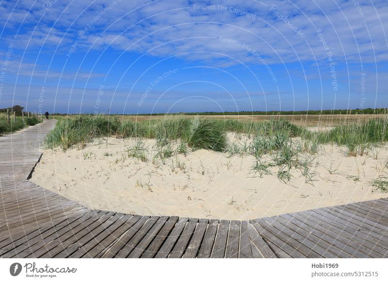 Blick über den Naturpark Salzwiesen auf der Insel Borkum salzig Nordseeinsel Niedersachsen Gras Landschaft Idylle Naturschutzgebiet Landschaftsschutz Gebiet