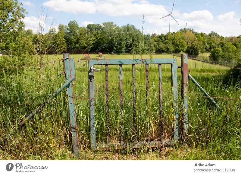 Tor in die Natur grenze zaun gitter lack abgegriffen alt abgenutzt verschlossen pforte metall tür tor beschädigt kaputt trashig linien detail Eingang Drahtzaun