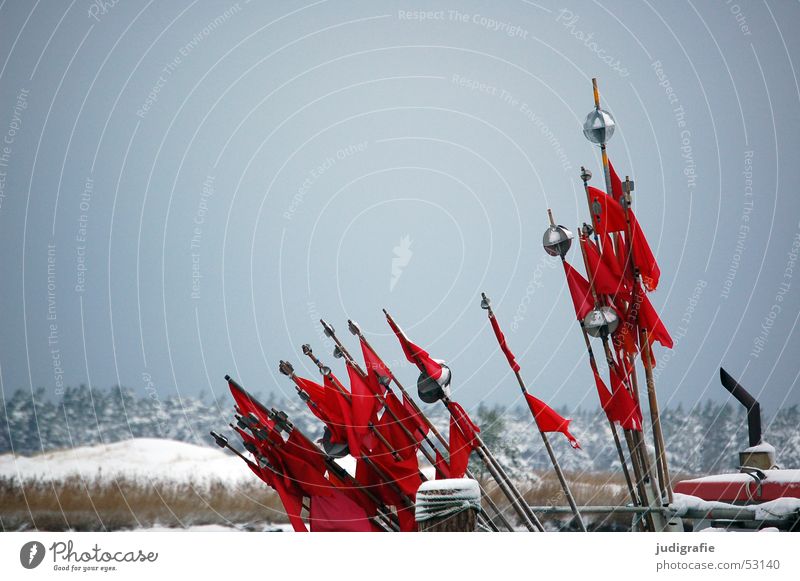 Rote Fähnchen an Fischerboot Fahne Wasserfahrzeug rot Fahnenmast Winter kalt grau trist Darß Hafen Spitze Kugel Schnee Natur Ostsee Himmel Signal Farbfoto Küste