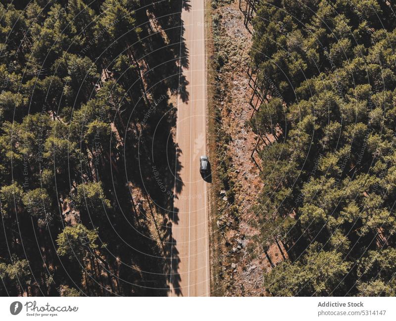 Asphaltstraße zwischen Hügeln und Wald Straße Herbst Natur Landschaft nadelhaltig Baum Saison malerisch Weg Route fallen Umwelt Immergrün Kiefer Autobahn Wälder