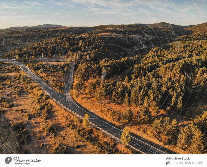 Asphaltstraße zwischen Hügeln und Wald Straße Herbst Natur Landschaft nadelhaltig Baum Saison malerisch Weg Route fallen Umwelt Immergrün Kiefer Autobahn Wälder