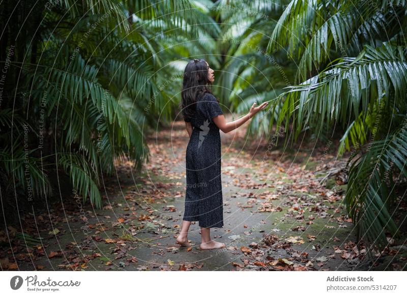 Frau steht in einem tropischen Garten mit Palmen Handfläche Sommer Park Natur Barfuß lässig Mädchen Baum Azoren Portugal Laufsteg Weg schlendern Windstille