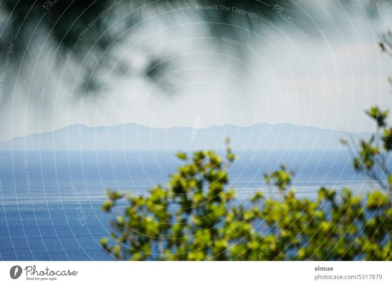 Blick durch Bäume hindurch von Elba aus auf das Mittelmeer und auf die Nachbarinsel Capraia Insel Wasser Provinz Livorno Italien Toskanisches Archipel