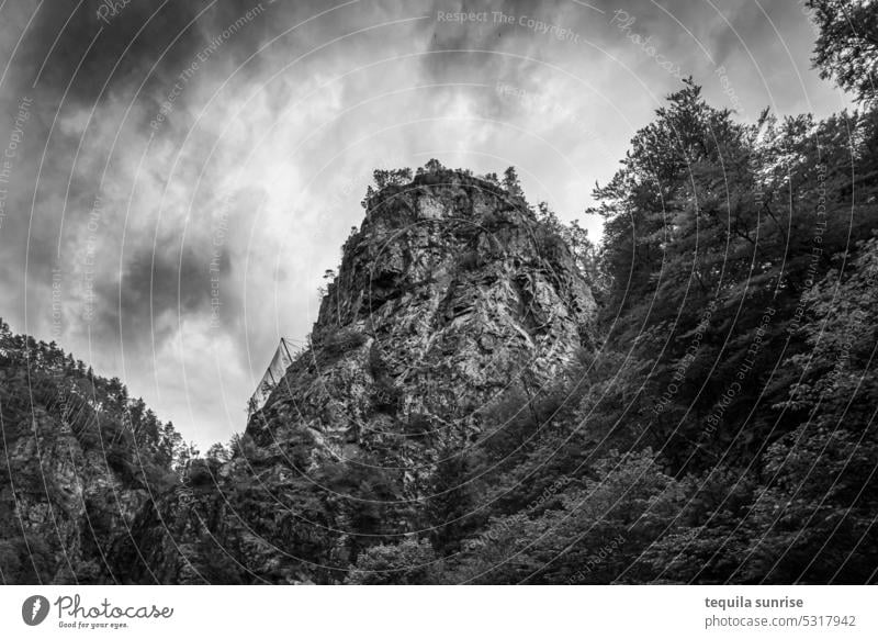 Berg im Schwarzwald Berge u. Gebirge Berghang Hügel Felsen Felsberg Sicherung Klettern Bäume Wald Bergwald Himmel Wolken Bergsteigen Blätter