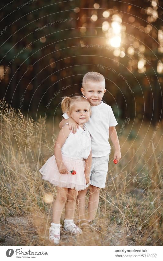 Schwester und Bruder spielen und umarmen sich im Sommer auf dem Feld. Kinder spielen im Freien und lächeln bei Sonnenuntergang. glückliche Familie. glückliche Kindheit