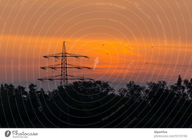 Strommast im Abendrot Abenddämmerung Dämmerung Hochspannungsleitung Elektrizität Technik & Technologie Energiewirtschaft Himmel Industrie Leitung Stromtransport