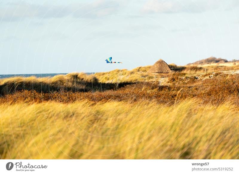 Einsamer Drache fliegt über den Stranddünen Drachen drachensteigen einsamer einzeln Himmel Wind fliegen Drachen steigen lassen Freizeit & Hobby Herbst Kindheit