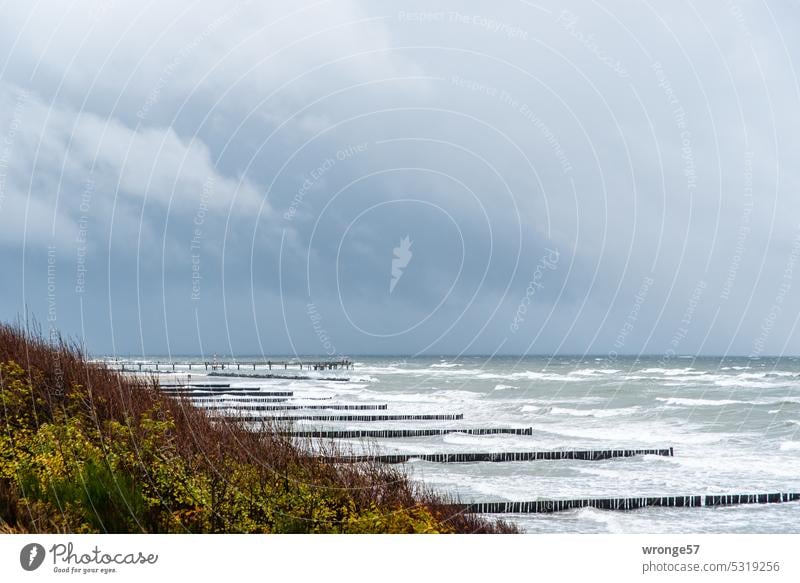 Raue See Herbststurm raue See stürmische See stürmische Ostsee stürmisches Meer stürmisches Wetter Weststrand Fischland Strand Küste Himmel Wellen Horizont