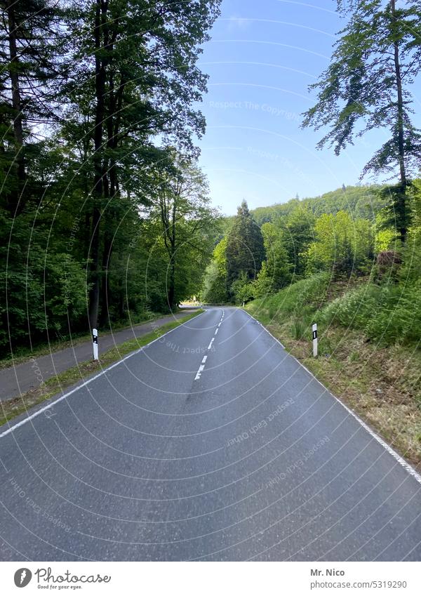 Landstraße Asphalt Roadmovie leere Straße unterwegs Straßenverkehr Fahrbahn Straßenrand außerorts on the road Landschaft Verkehrswege Wege & Pfade Baum