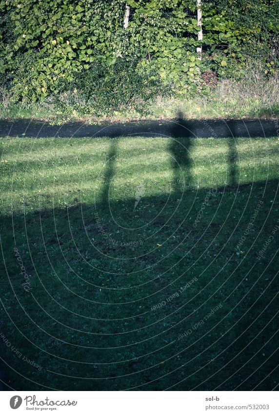 Überführung Mensch Leben 1 Natur Sonnenlicht Herbst Baum Gras Sträucher Park Feld Stadtrand Brücke Bauwerk Fußgänger Wege & Pfade Autobahn Hochstraße beobachten