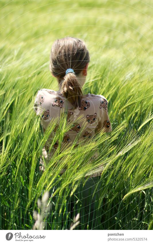 ein kind steht in einem weizenfeld. rückansicht. landliebe pferdeschwanz getreide landwirtschaft Ackerbau Ähren Nutzpflanze Kornfeld nahrungsmittel Getreidefeld