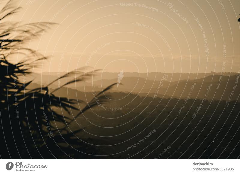 Im Hinterland von Queensland streichelt der Abendwind die zarten  Zweige am Busch. Sonnenuntergangslandschaft Abenddämmerung Himmel Dämmerung Landschaft Natur