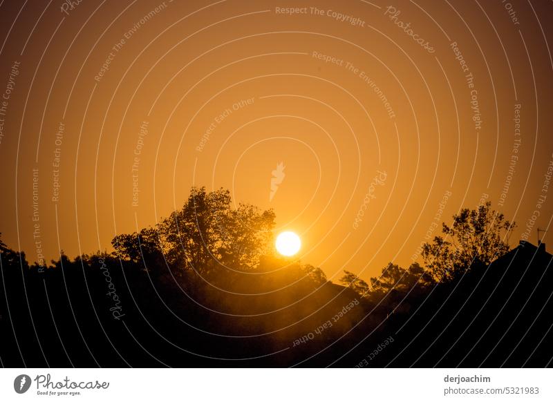 Morgensonne Landschaft Morgenstimmung Sonnenaufgang Stimmung Umwelt Idylle morgenlicht Menschenleer Licht Sonnenlicht ruhig Außenaufnahme Natur morgens Baum