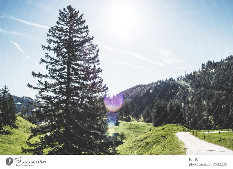 Wandern Natur Landschaft Schönes Wetter Wald Hügel Felsen Stimmung Freude Farbfoto Außenaufnahme Morgen Sonnenlicht