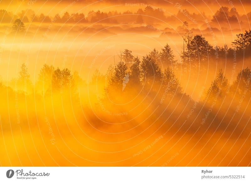 Mysteriöse Morgenzeit. Enchanted Morning Sun Shines On Plain. Sonnenaufgang natürlichen Hintergrund. Aerial View Amazing Misty Plain Landschaft. Morning Fog Illuminated By Sun Covers Plain Landscape