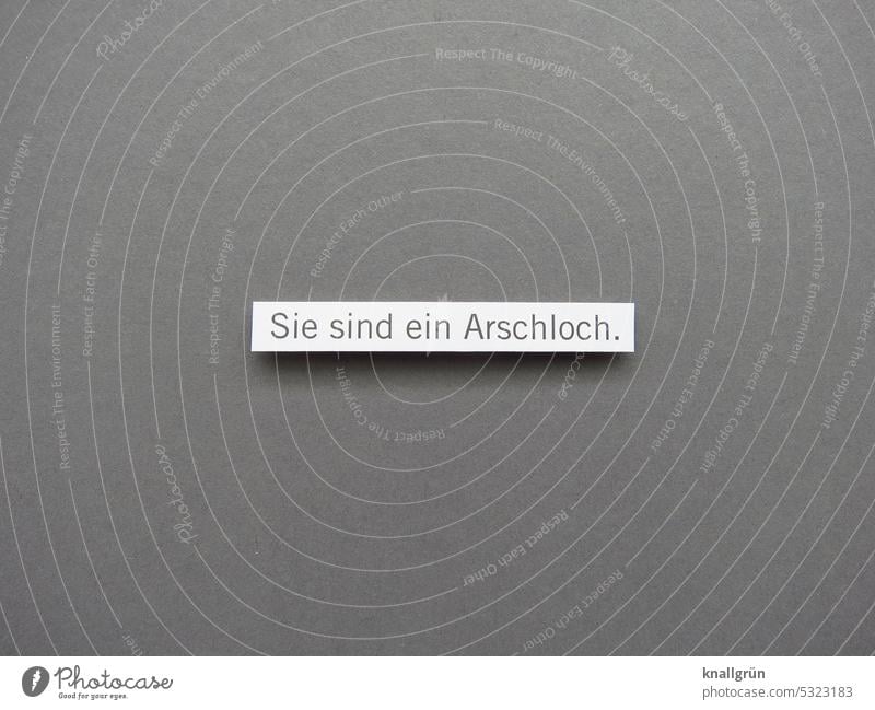 Sie sind ein Arschloch. Beleidigung Wut Aggression Ärger Frustration Gefühle gereizt Feindseligkeit Konflikt & Streit Stimmung Verachtung rebellisch Hass