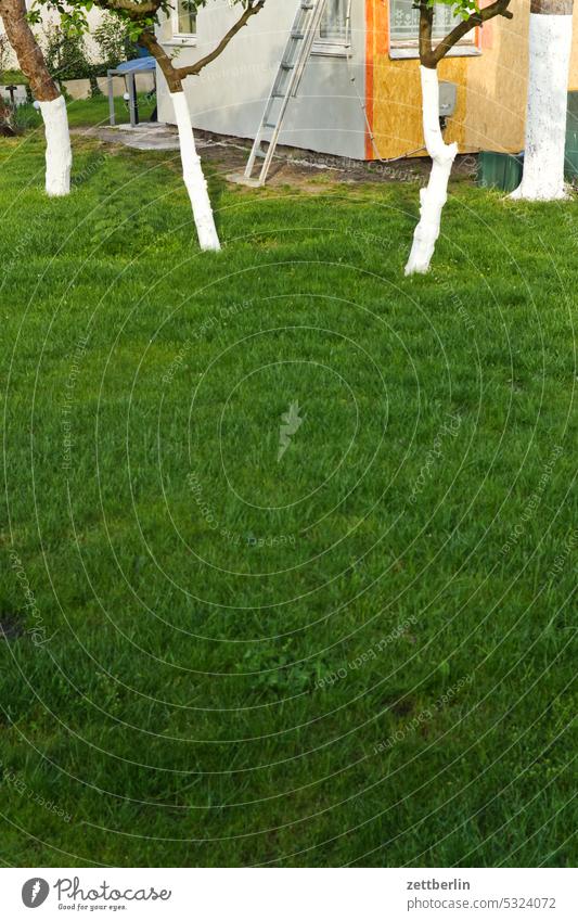 Wiese mit vier Obstbäumen, einer Laube und einer Leiter ast baum blühen blüte erholung erwachen ferien frühjahr frühling frühlingserwachen garten kleingarten