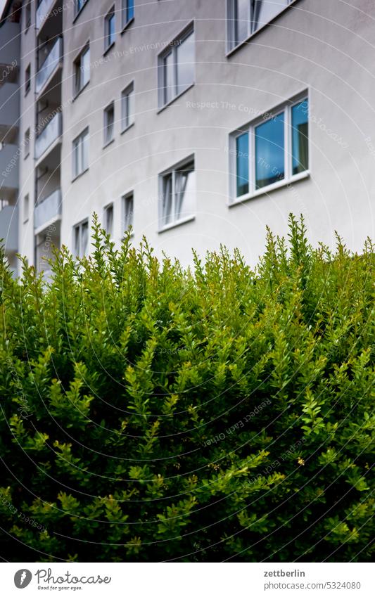 Haus hinter Hecke architektur berlin büro city deutschland fassade fenster froschperspektive gebäude hauptstadt haus innenstadt kiez leben licht mitte modern