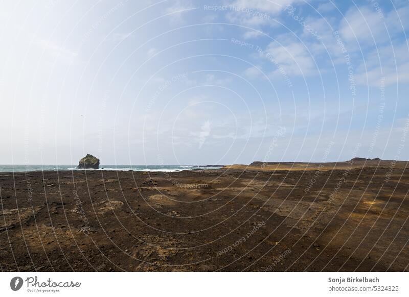 Endlose Küstenlinie auf Reykjanes in Island Südisland Ufer Strand schwarz schwarzer Sandstrand Klippen Felsen Vögel endlos Leere Landschaft Meer MEER reisen