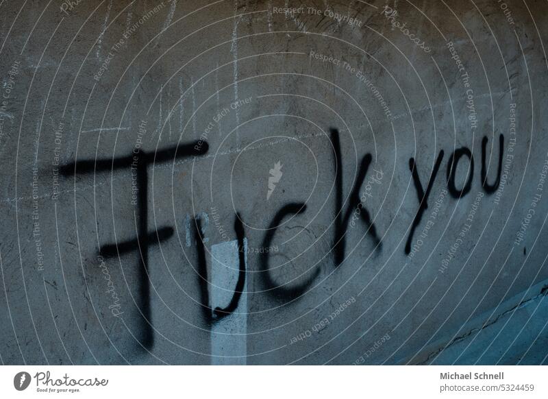 Schriftzug "Fuck you" fuck fuck you Wut Ärger Aggression Frustration Gefühle Konflikt & Streit gereizt Feindseligkeit rebellisch trotzig Stimmung Verbitterung